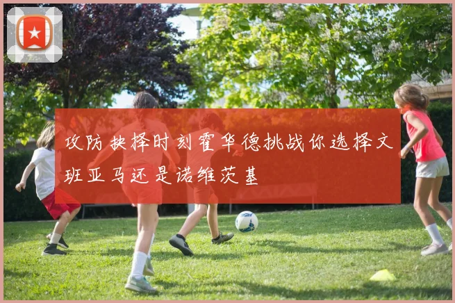 攻防抉择时刻霍华德挑战你选择文班亚马还是诺维茨基