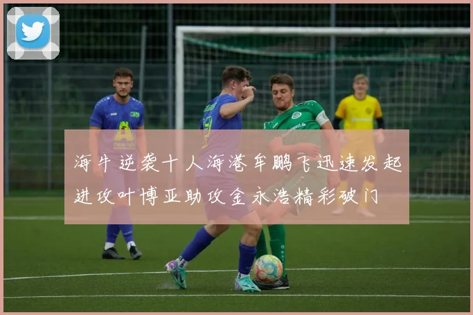 海牛逆袭十人海港牟鹏飞迅速发起进攻叶博亚助攻金永浩精彩破门